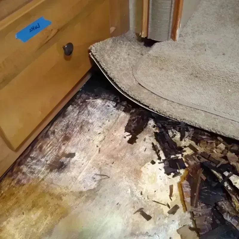 Wood Floor Water Damage in Warren, IN